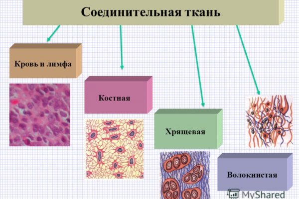 Кракен официальная ссылка kraken torion