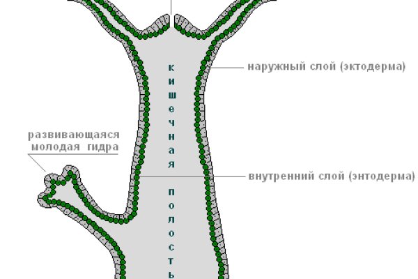 Даркнет маркет кракен onion