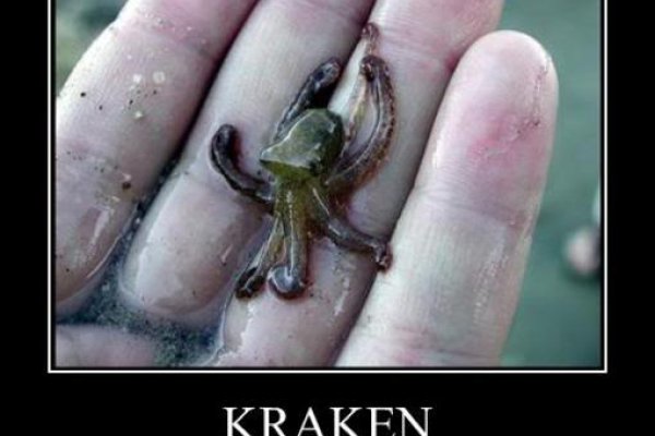 Kraken настоящая ссылка