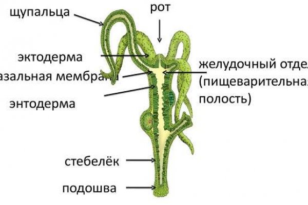 Кракен короткая ссылка