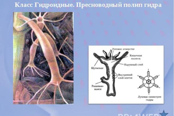 Почему кракен перестал работать